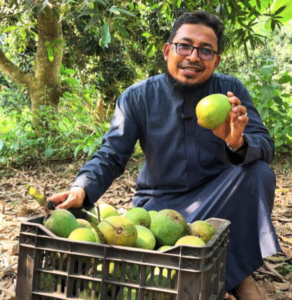 ন্যাচারাল হিমসাগর আম